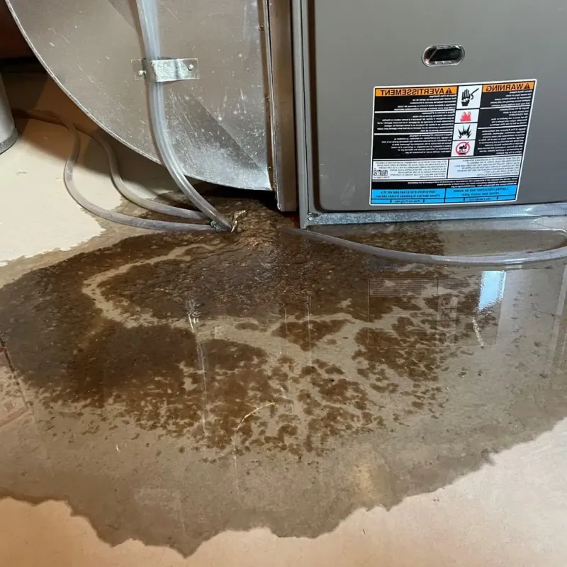 Pipe Burst and Leak Restoration in Ipswich, MA